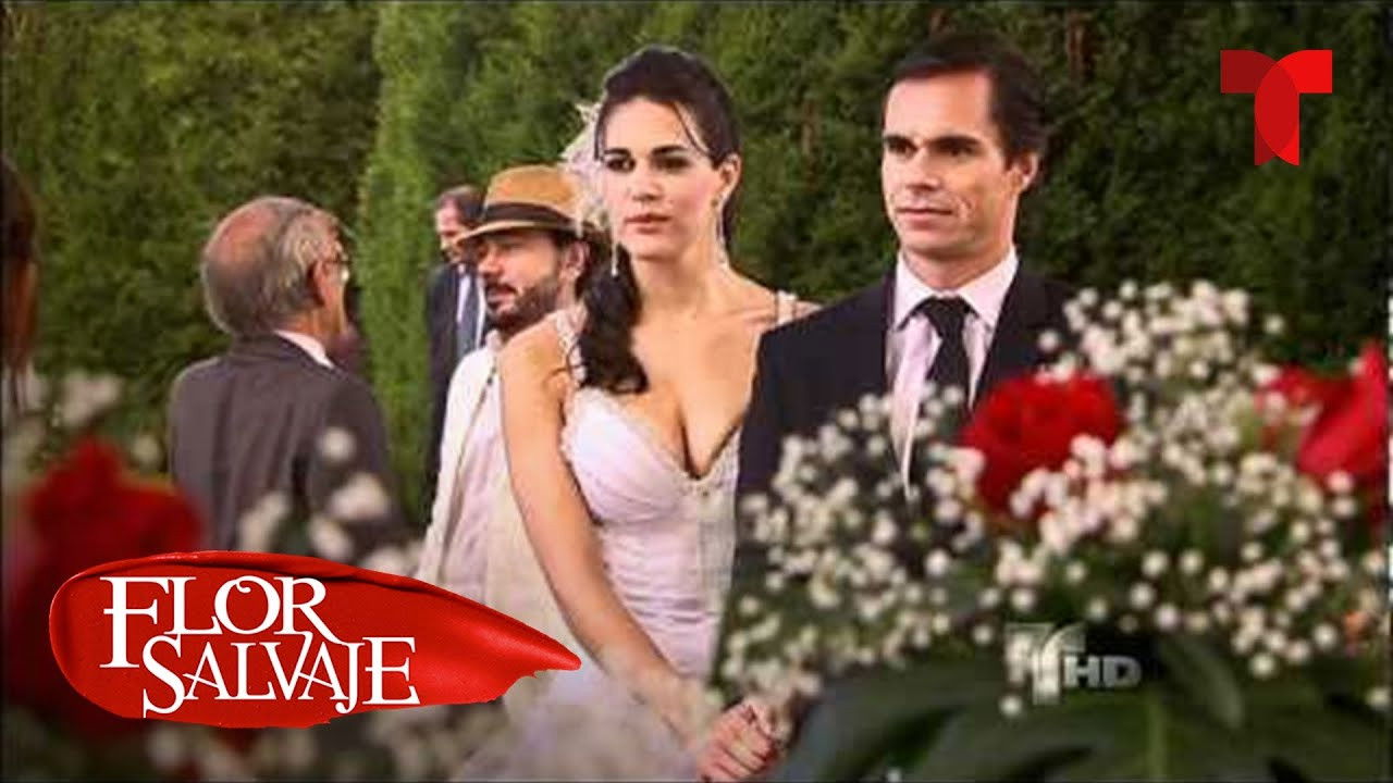 Wild Flower - Spanish TV show backdrop