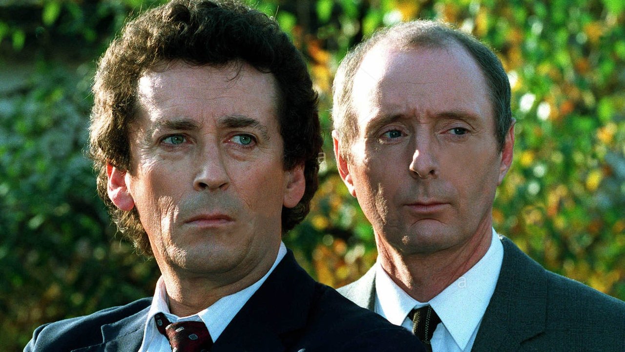 The Detectives - Spanish TV show backdrop
