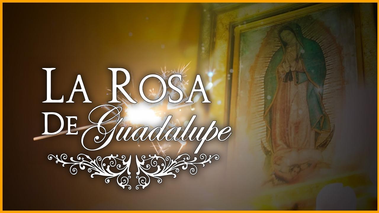La rosa de Guadalupe - Spanish TV show backdrop