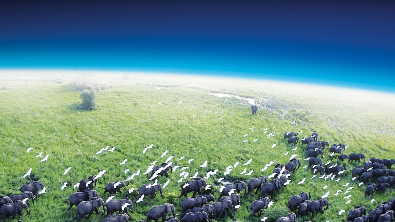 Planet Earth - Spanish TV show backdrop