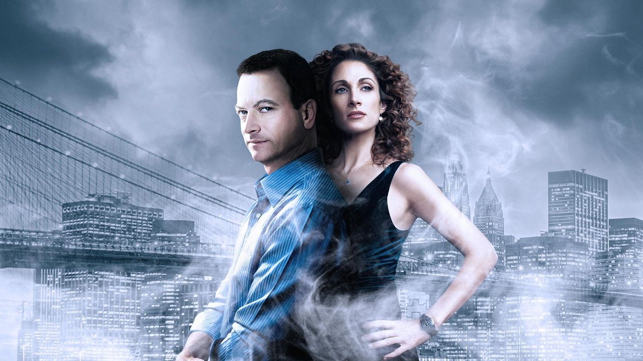 CSI: NY - Spanish TV show backdrop