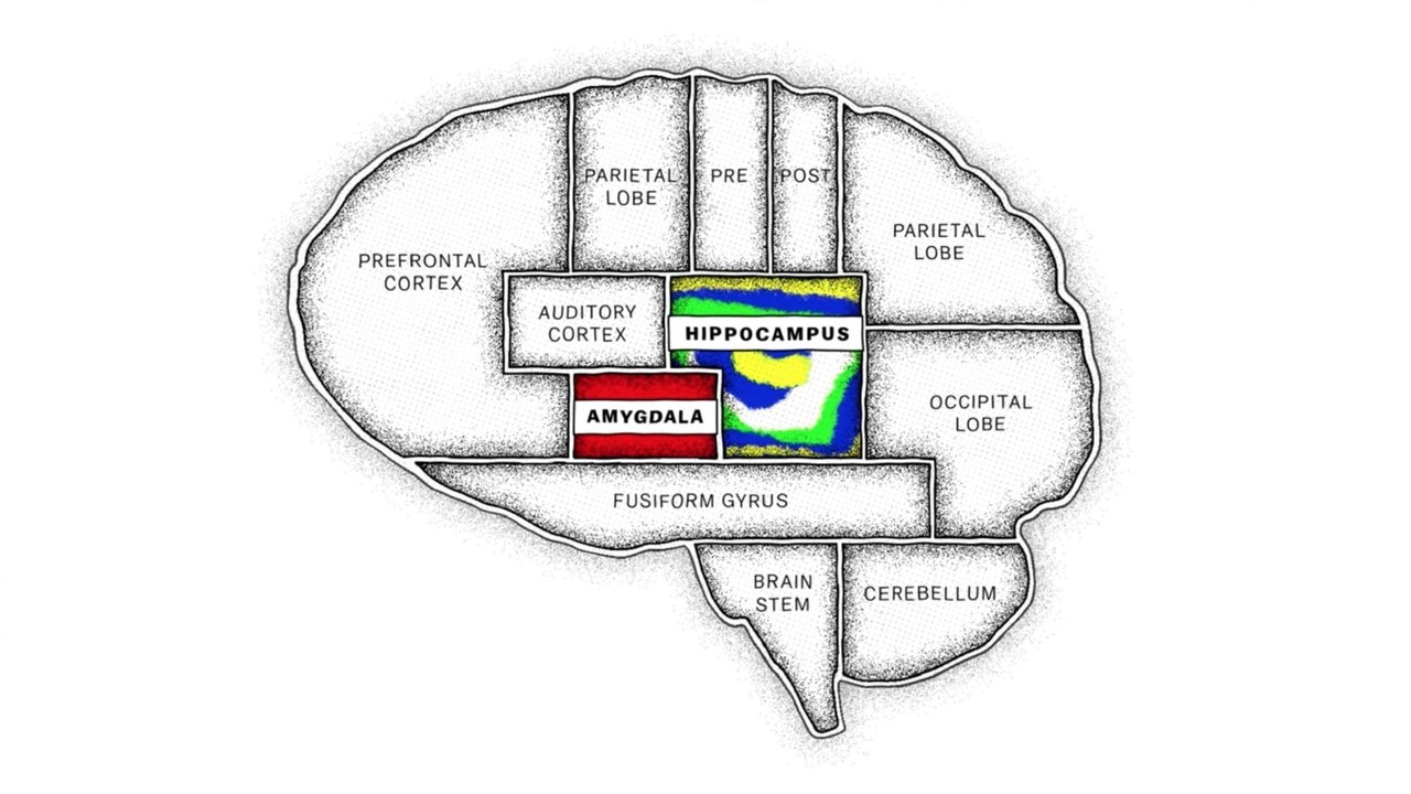 The Mind, Explained - Spanish TV show backdrop