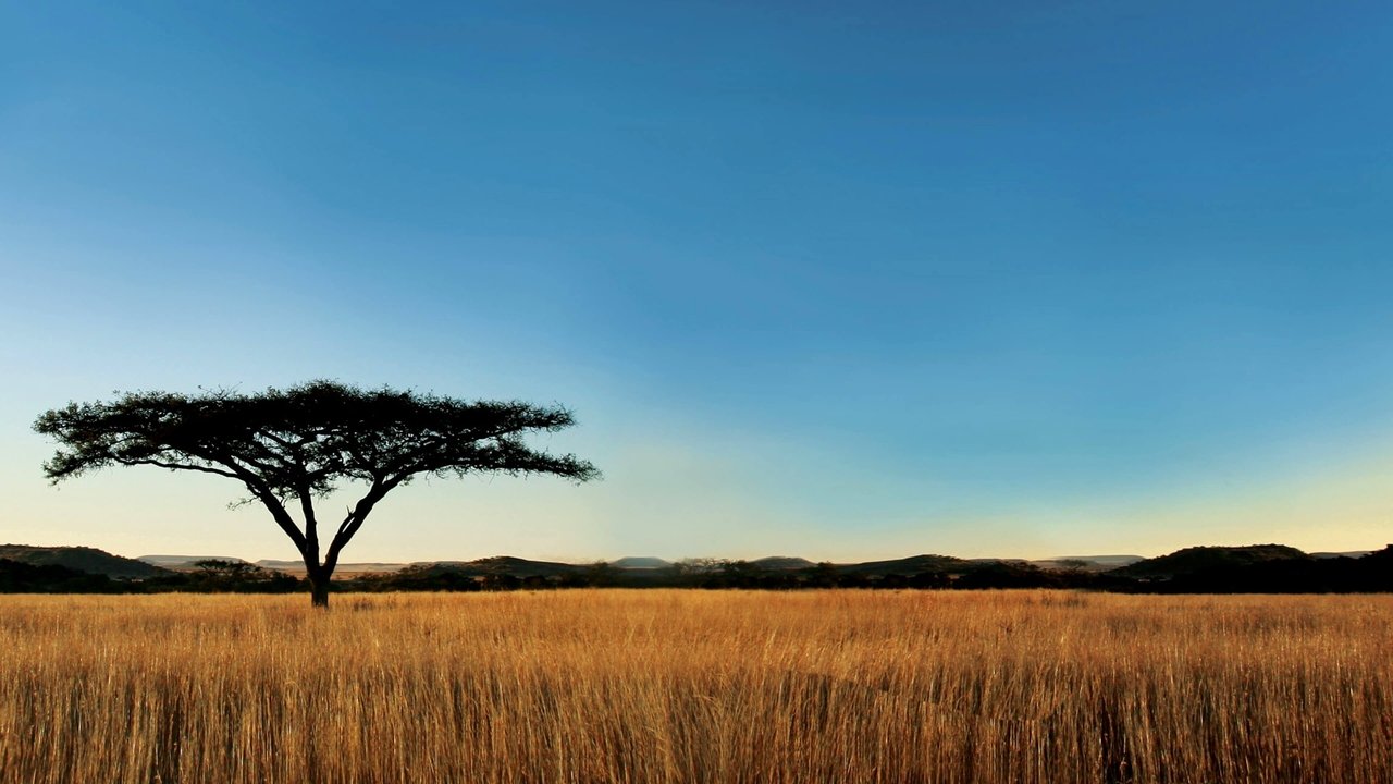 Nature - Spanish TV show backdrop
