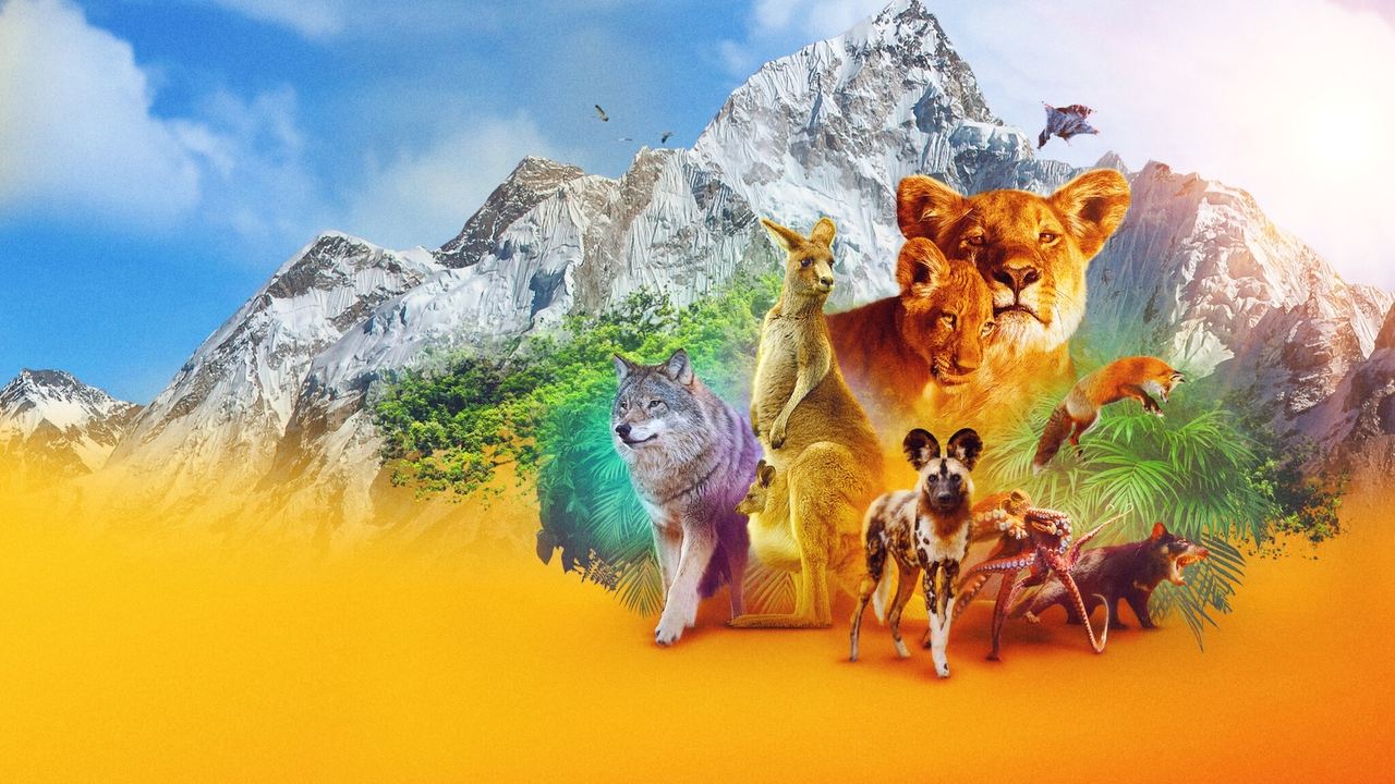 Animal - Spanish TV show backdrop
